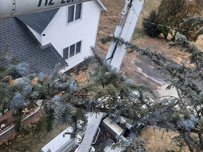 Javier Medina Tree Service LLC