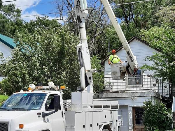 Javier Medina Tree Service LLC