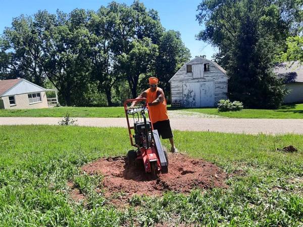 Javier Medina Tree Service LLC