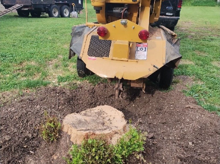 Javier Medina Tree Service LLC