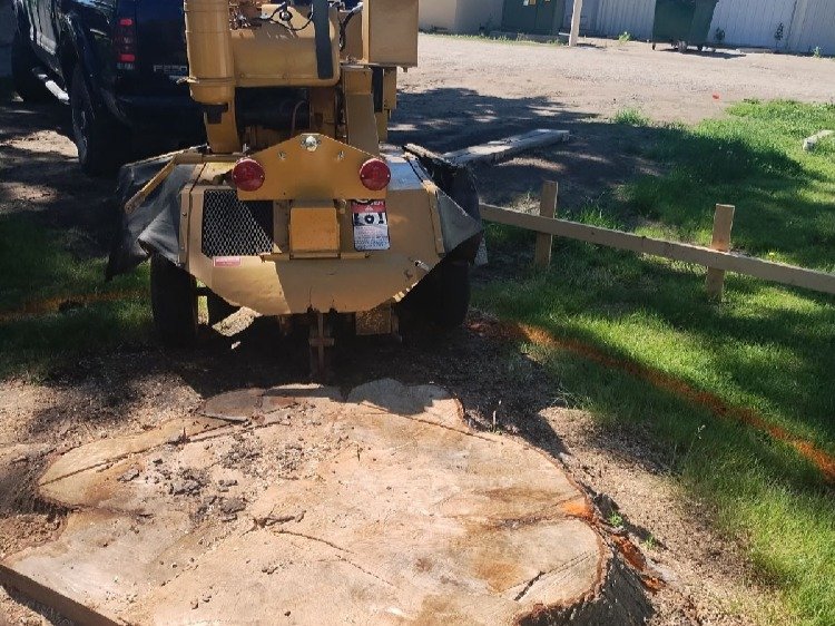 Javier Medina Tree Service LLC
