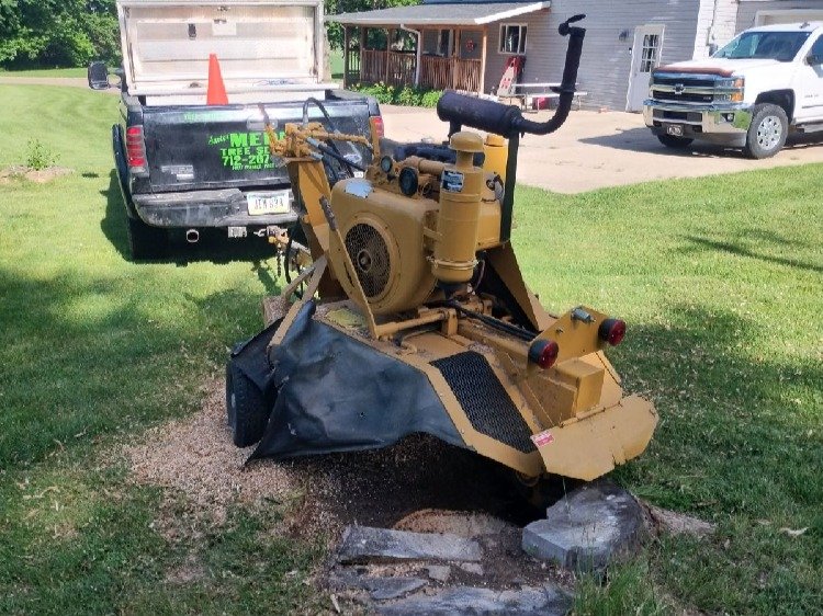 Javier Medina Tree Service LLC