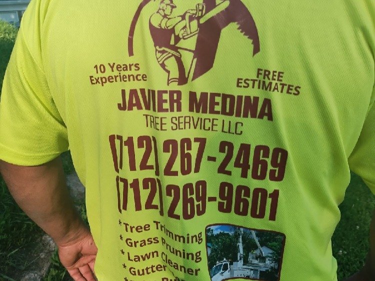 Javier Medina Tree Service LLC