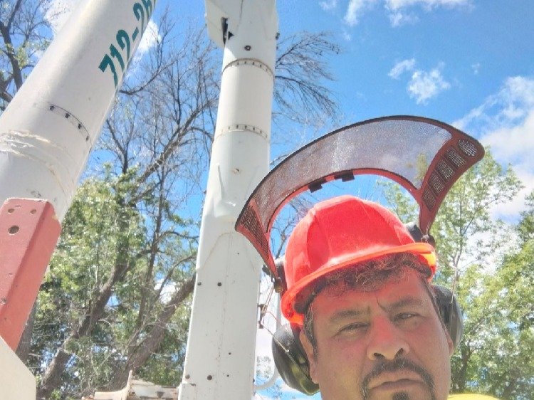 Javier Medina Tree Service LLC