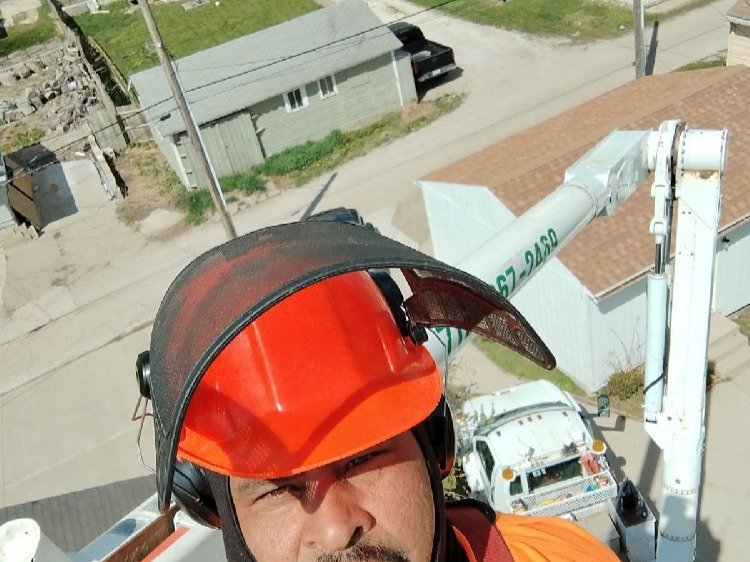 Javier Medina Tree Service LLC