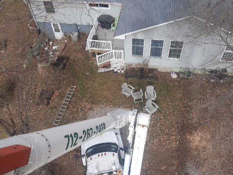 Javier Medina Tree Service LLC
