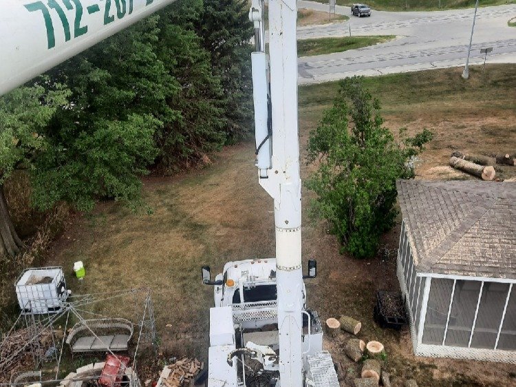 Javier Medina Tree Service LLC