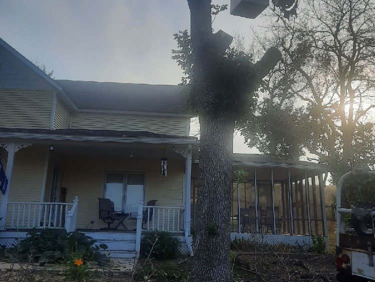 Javier Medina Tree Service LLC