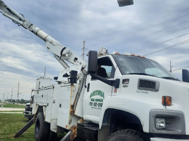 Javier Medina Tree Service LLC