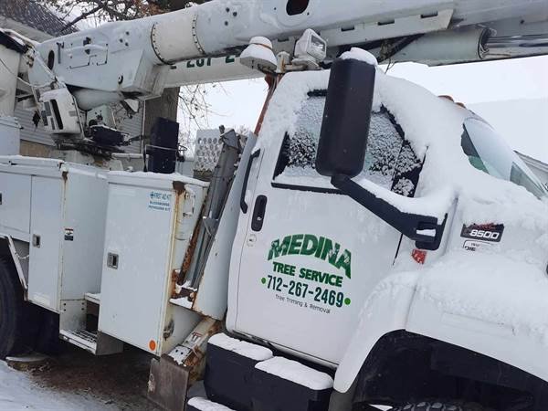 Javier Medina Tree Service LLC