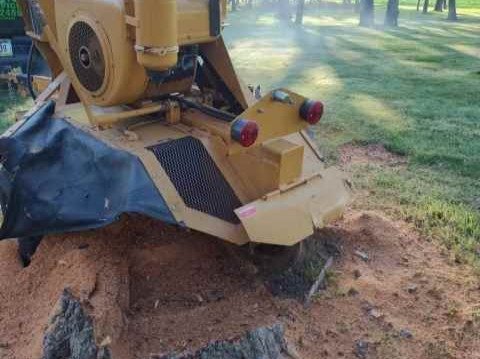 Javier Medina Tree Service LLC
