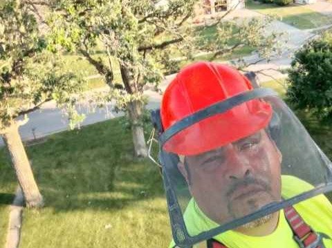 Javier Medina Tree Service LLC