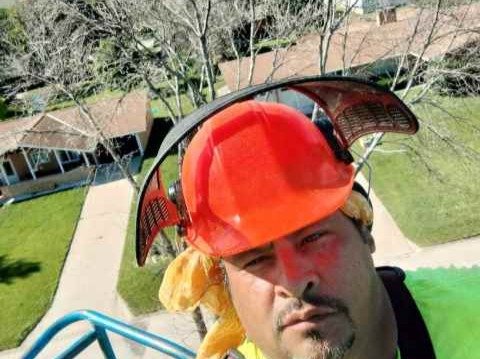 Javier Medina Tree Service LLC
