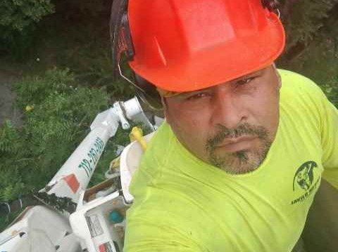 Javier Medina Tree Service LLC