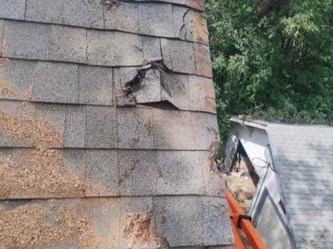 Javier Medina Tree Service LLC