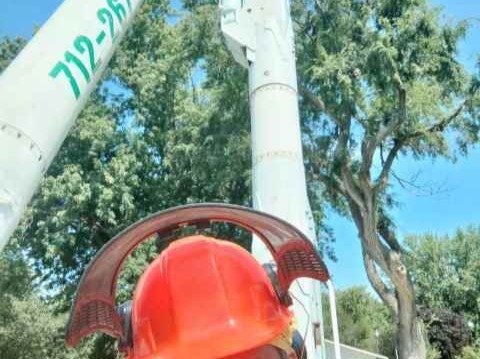 Javier Medina Tree Service LLC