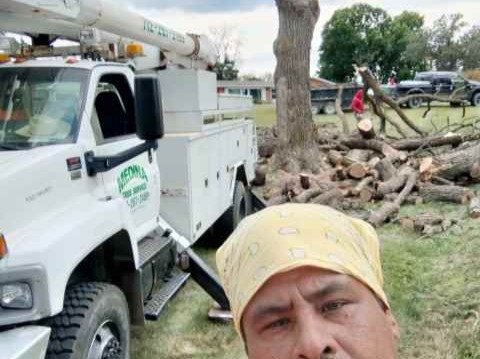 Javier Medina Tree Service LLC