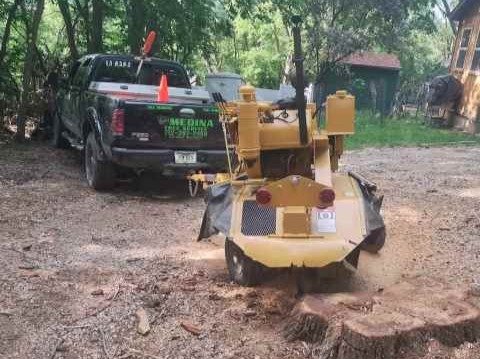 Javier Medina Tree Service LLC