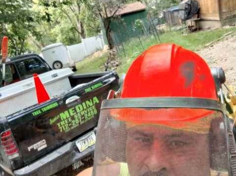 Javier Medina Tree Service LLC