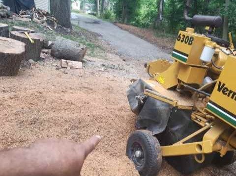 Javier Medina Tree Service LLC