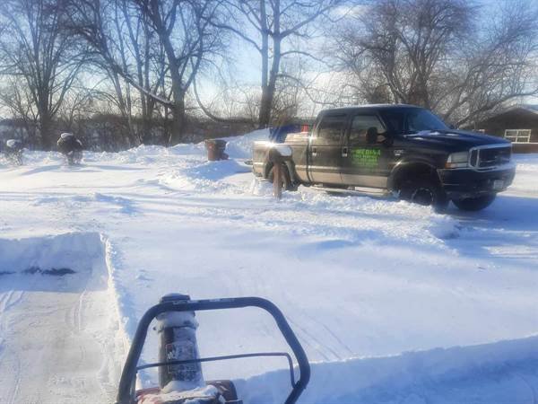 Javier Medina Tree Service LLC