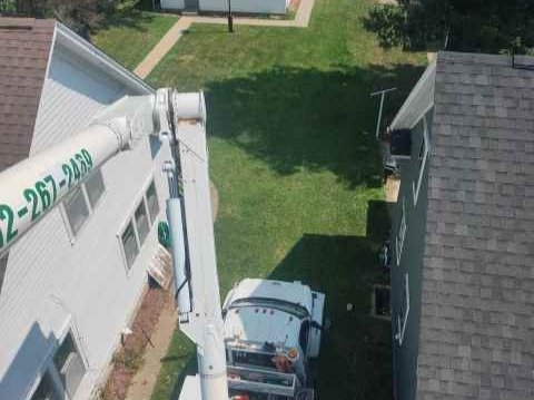 Javier Medina Tree Service LLC