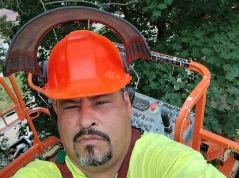 Javier Medina Tree Service LLC