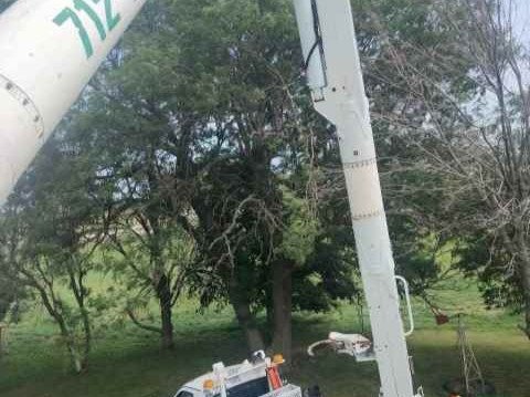 Javier Medina Tree Service LLC