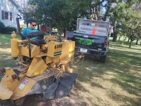 Javier Medina Tree Service LLC
