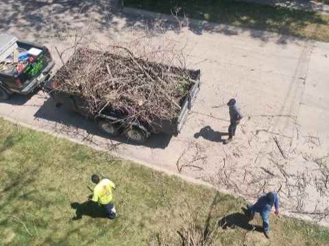 Javier Medina Tree Service LLC