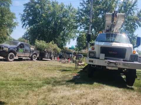 Javier Medina Tree Service LLC