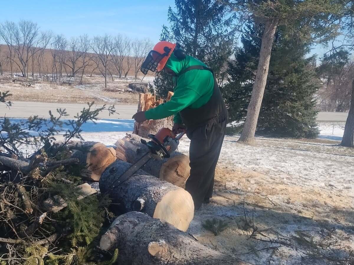 Javier Medina Tree Service LLC