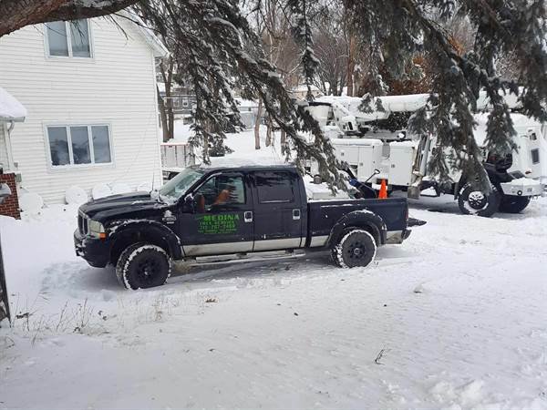 Javier Medina Tree Service LLC