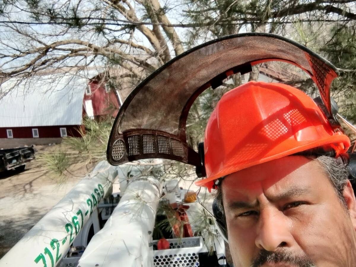 Javier Medina Tree Service LLC