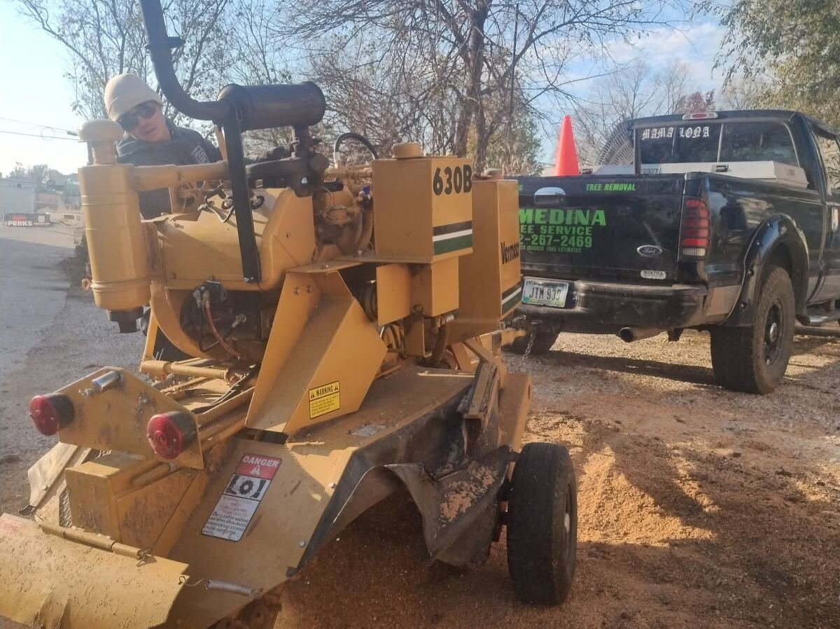 Javier Medina Tree Service LLC