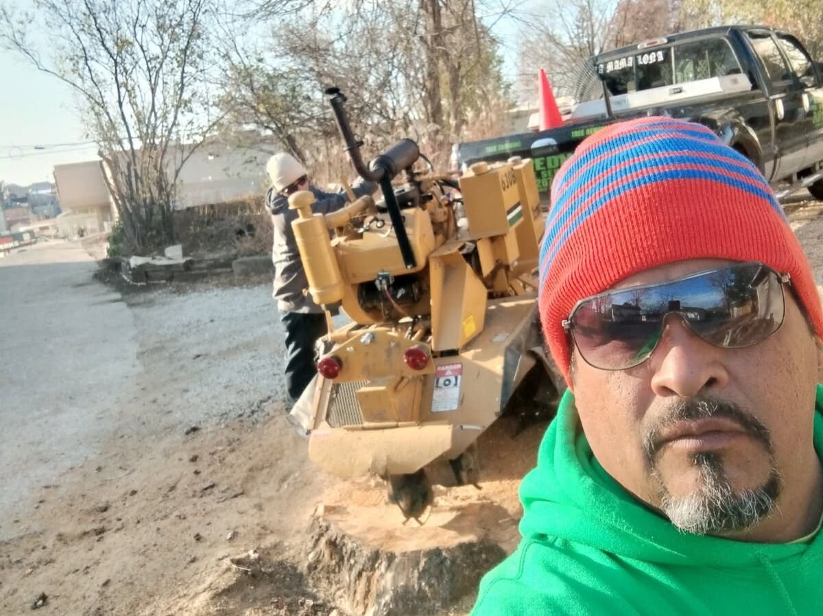Javier Medina Tree Service LLC