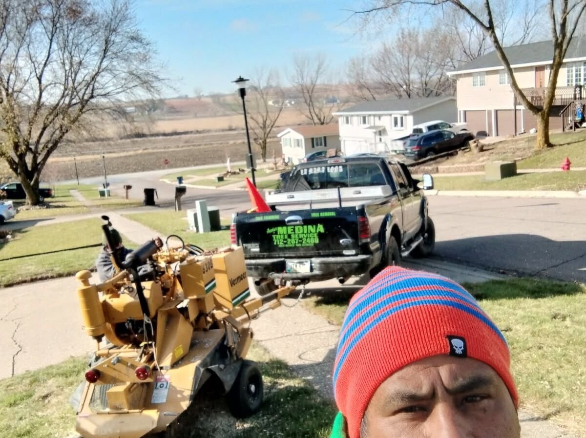 Javier Medina Tree Service LLC