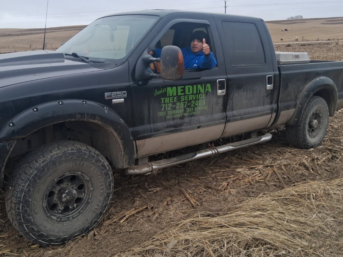 Javier Medina Tree Service LLC
