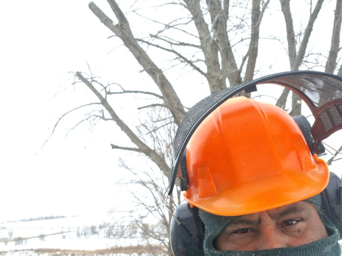 Javier Medina Tree Service LLC