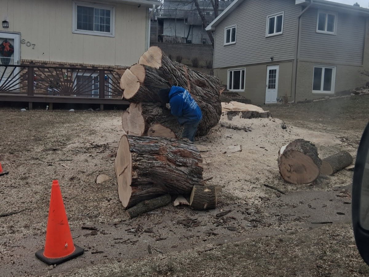 Javier Medina Tree Service LLC