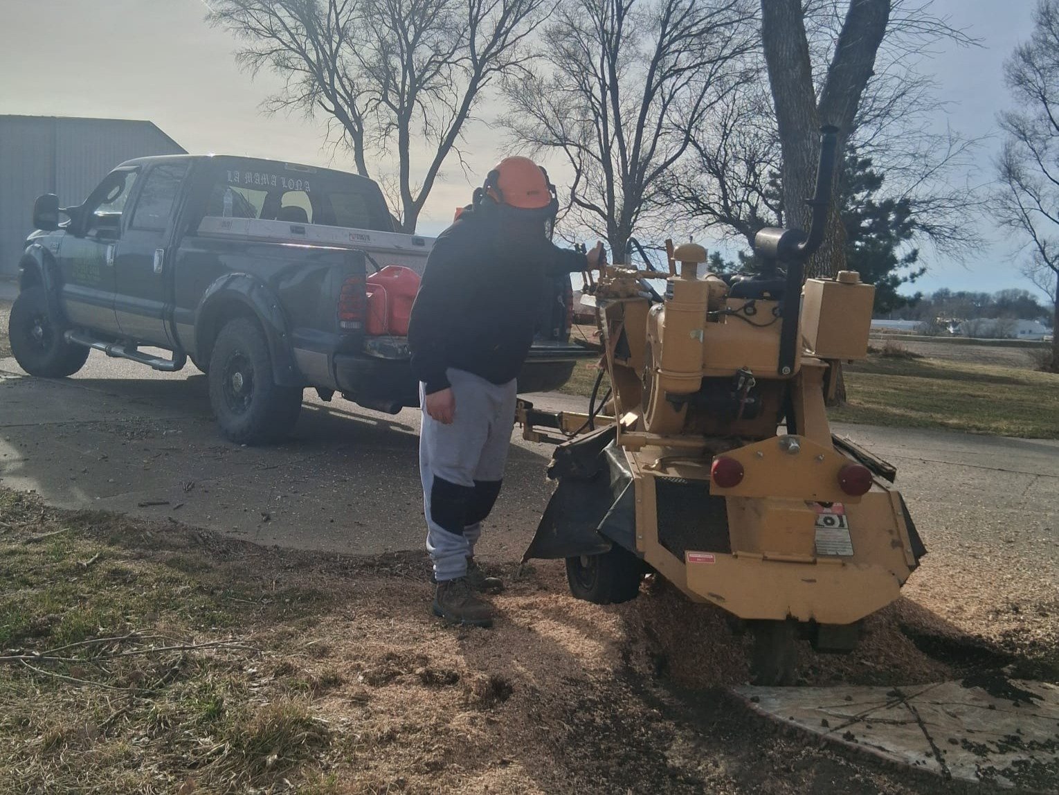 Javier Medina Tree Service LLC
