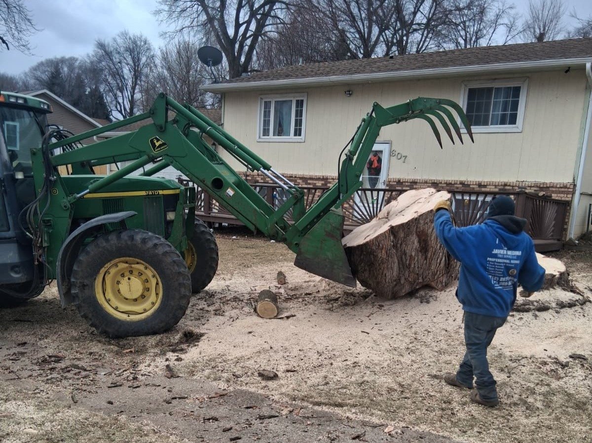 Javier Medina Tree Service LLC